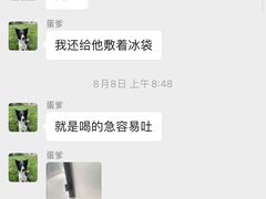 -趣玩宠物乐园寄养训犬训狗游泳池