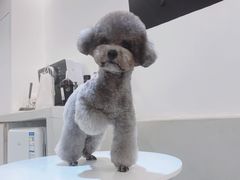 -comecome来吧宠物(奥克斯中心店)