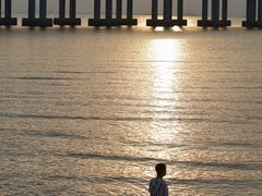 -宝安西湾红树林湿地公园