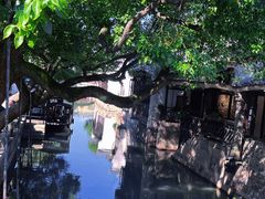-乌镇东栅景区