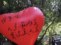 -将军关探险漂流