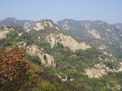 -大岭沟猕猴桃谷风景区