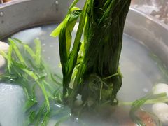 -凯华海鲜火锅·传承三十六年