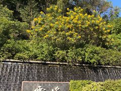 -云溪植物园