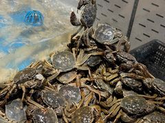 -半岛听涛蒸汽海鲜自助(K11店)