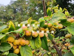 -南翠屏公园