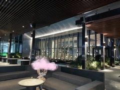 -四季酒店·空中花园 Aria on 9