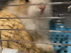 -雨林宠物医院 非犬猫异宠专科