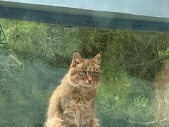 -青藏高原野生动物园