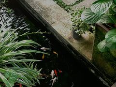 -谷咖啡·鲜花绿植花园餐厅