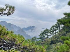 -黄山风景区