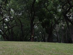 -晓港公园