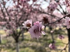 -江苏三台山国家森林公园
