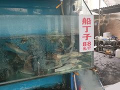 -高坎一品甲鱼庄(两河店)