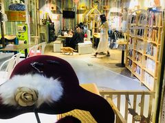 猫咖啡-小时光咖啡馆(开森度假森林店)