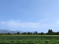-良渚古城遗址公园
