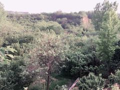 -樱桃沟景区