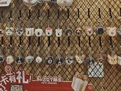 -和它·交个朋友·狗咖猫咖(爱琴海店)
