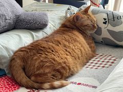 -新荟城(望京店)