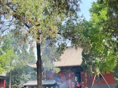 -洛阳白马寺