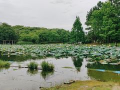 -白塘生态植物园