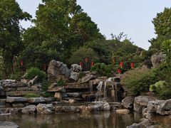 -东莞植物园