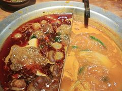 -楠火锅(哈尔滨金爵万象店)