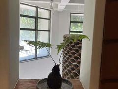 -花迹(富春江东街店)