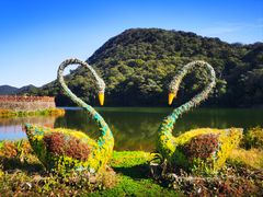 -广州市石门国家森林公园