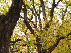 -白塘生态植物园