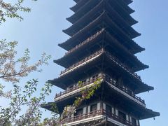 -宜兴龙背山森林公园