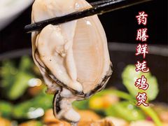 -新会鲜蚝鸡煲(新会总店)