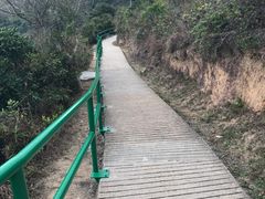 -南丫岛