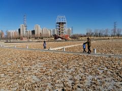 -永定河休闲森林公园