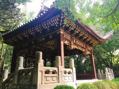 -汇龙潭