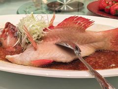 -翠园(北京王府中环店)