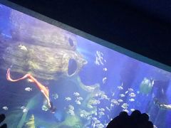 景点-多彩贵州城极地海洋世界