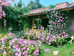 -HERRE·FARM 赫尔露营农场·团建聚会包场