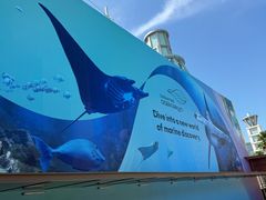 -新加坡水上探险乐园