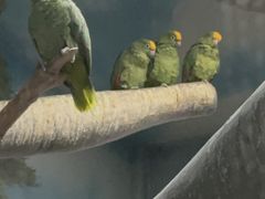 -石家庄市动物园