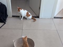 -佳雯宠物医院·皮肤科·内外科(春晓路分院)