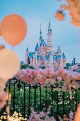 -迈瑞米求婚策划(静安店)