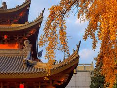-上海东林寺(金山区)