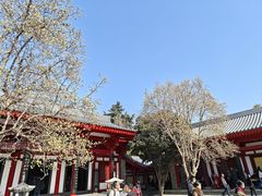 -大慈恩寺(大雁塔)