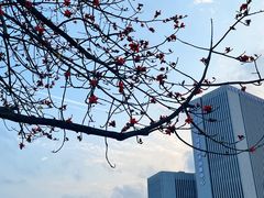 -宝能国际体育演艺中心