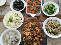 -DM CHICKEN 分米鸡