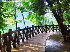 -广州市流溪河国家森林公园