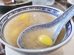 -大中鱼翅 Taitong Shark Fin