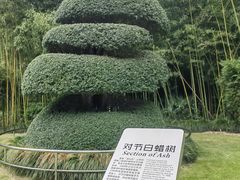 -苏州河梦清园环保主题公园