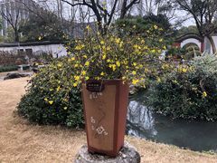 -上海醉白池公园